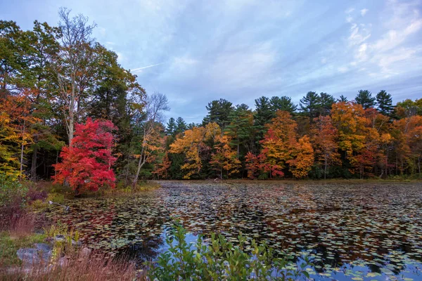 Podzimní Sezóna Západním Massachusetts — Stock fotografie