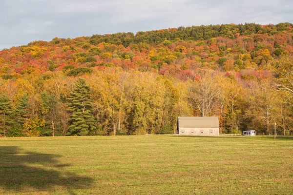 Fall Season Western Massachusetts — Stock Photo, Image