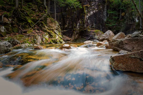 Foliage New Hampshire — Stock fotografie