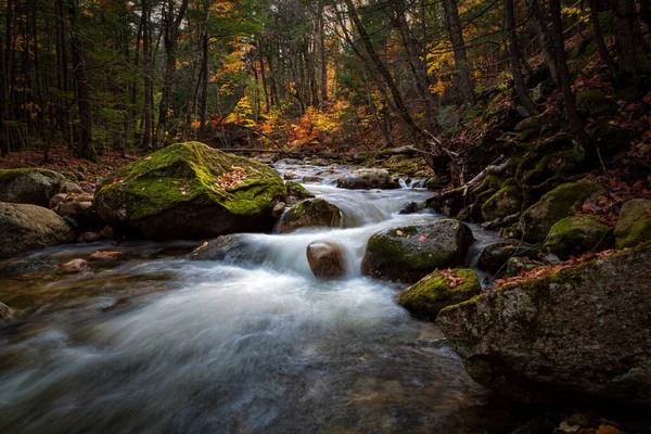 Foliage New Hampshire — Stock Photo, Image