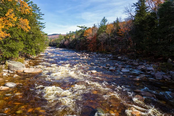 Foliage New Hampshire — Stock fotografie
