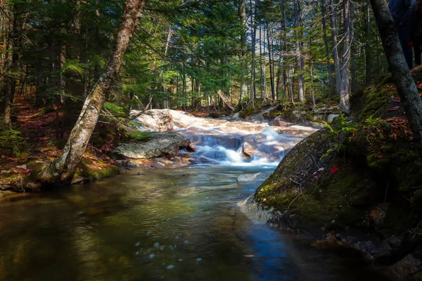 Foliage New Hampshire — Stock fotografie