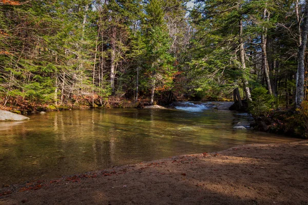 Foliage New Hampshire — Stock fotografie