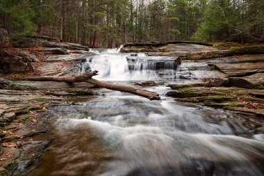 Waterfalls of  Western Massachusetts in Fall