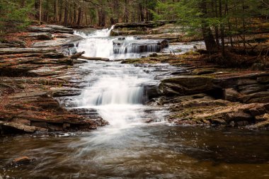 Waterfalls of  Western Massachusetts in Fall