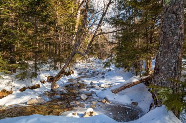 Beyaz Dağlar, New Hampshire 'da kış