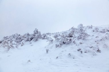 Beyaz Dağlar, New Hampshire 'da kış