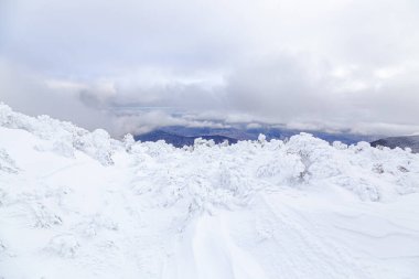 Beyaz Dağlar, New Hampshire 'da kış