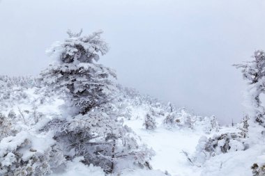 Beyaz Dağlar, New Hampshire 'da kış