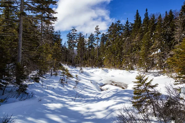 Vintern Vita Bergen New Hampshire — Stockfoto