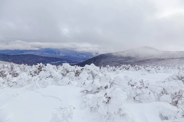 Winter Witte Bergen New Hampshire — Stockfoto
