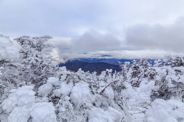 Invierno Las Montañas Blancas New Hampshire —  Fotos de Stock