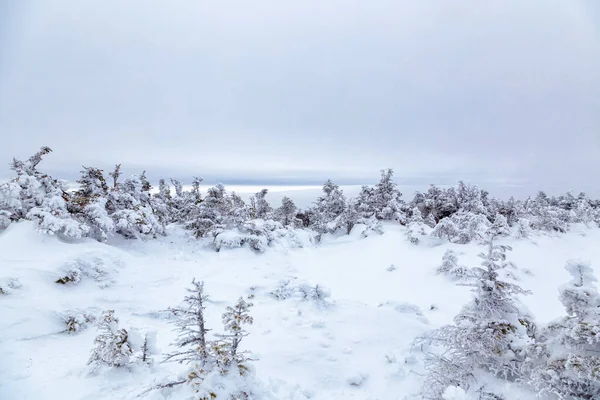 Invierno Las Montañas Blancas New Hampshire — Foto de Stock