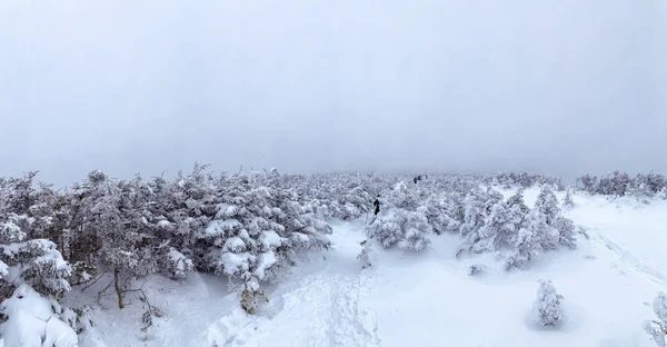 Invierno Las Montañas Blancas New Hampshire — Foto de Stock