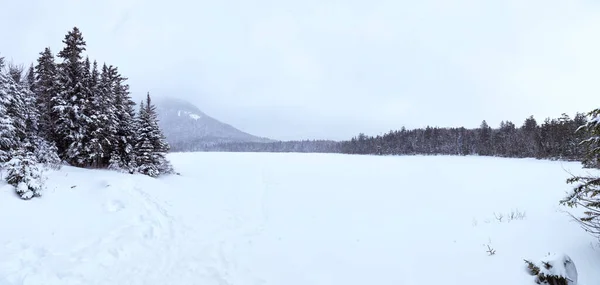 Beyaz Dağlar New Hampshire Kış — Stok fotoğraf