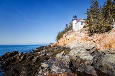 Bass Harbor Head deniz feneri, Maine
