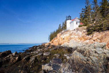 Bass Harbor Head deniz feneri, Maine