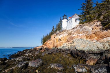 Bass Harbor Head deniz feneri, Maine