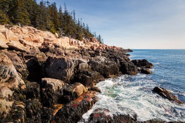 Acadia Ulusal Parkı manzaraları