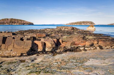 Acadia Ulusal Parkı manzaraları