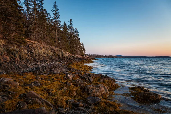 Paisajes Del Parque Nacional Acadia —  Fotos de Stock