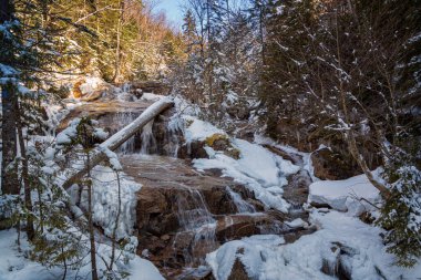 Franconia Ridge Patikası Beyaz Dağlar, New Hampshire