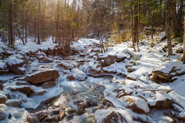 Franconia Ridge Patikası Beyaz Dağlar, New Hampshire