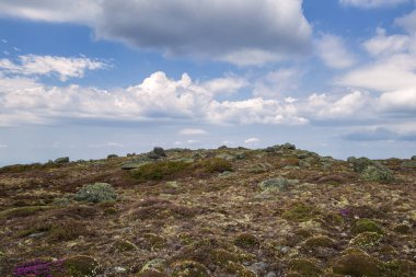 Beyaz Dağlar, New Hampshire