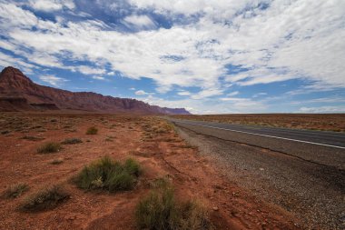 Arizona Çölü 'nün kartpostalı.