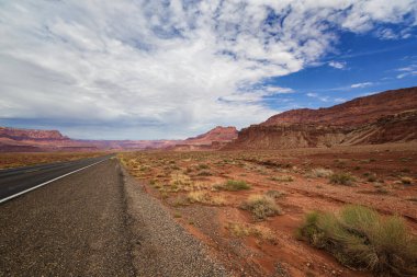 Arizona Çölü 'nün kartpostalı.