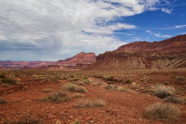Arizona Çölü 'nün kartpostalı.