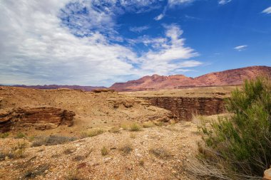 Arizona Çölü 'nün kartpostalı.