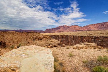 Arizona Çölü 'nün kartpostalı.