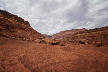Arizona Çölü 'nün kartpostalı.