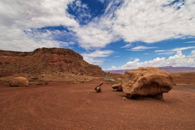 Arizona Çölü 'nün kartpostalı.