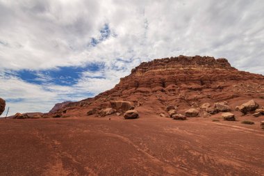 Arizona Çölü 'nün kartpostalı.