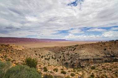 Arizona Çölü 'nün kartpostalı.