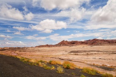 Arizona Çölü 'nün kartpostalı.