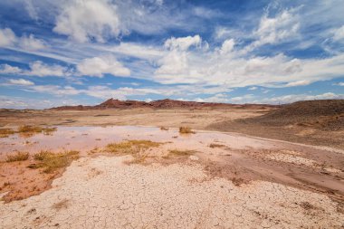 Arizona Çölü 'nün kartpostalı.