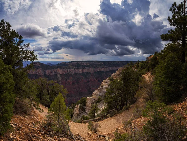 Parque Nacional Del Gran Cañón North Rim — Foto de Stock