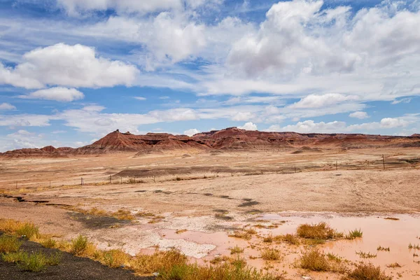 Pohlednice Pouště Arizona — Stock fotografie