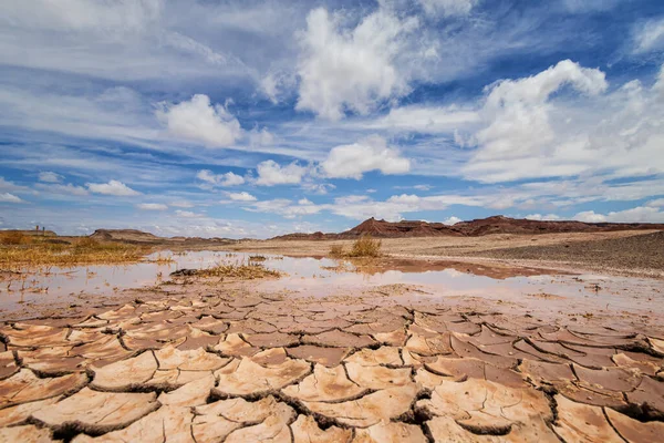 Una Postal Del Desierto Arizona Imagen De Stock