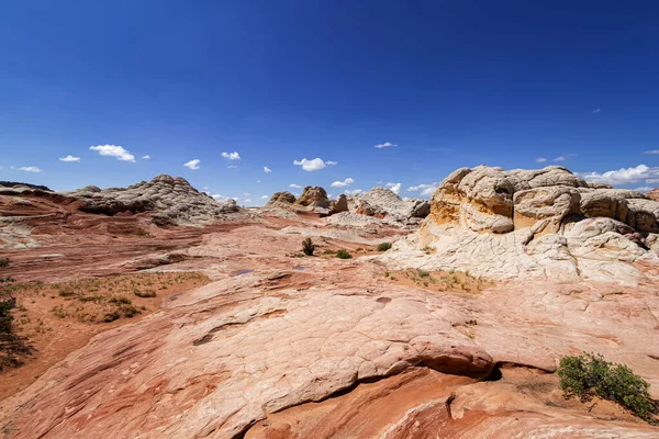 Formacja Skalna White Pocket Utah — Zdjęcie stockowe