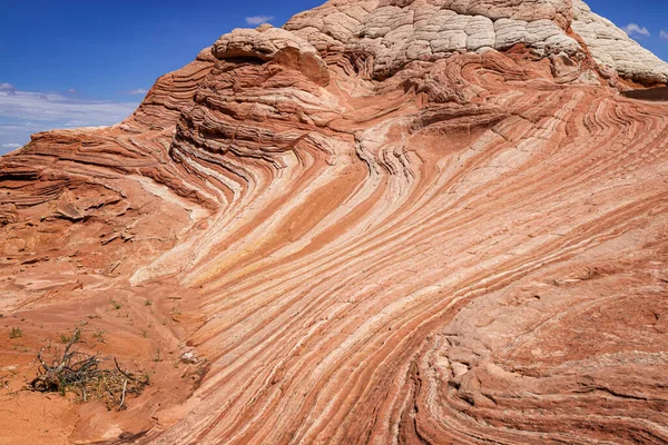 Rock Formation White Pocket Utah — Stock fotografie