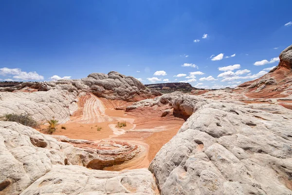 犹他州白口袋中的岩石形成 — 图库照片