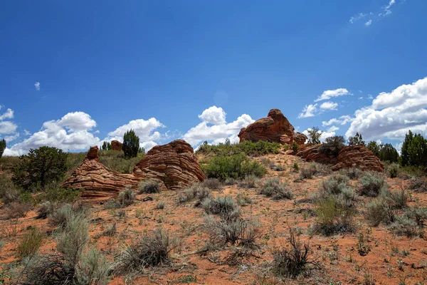 Formação Rochas Coyote Buttes Utah — Fotografia de Stock