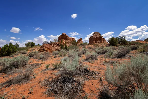 Rock Formations Coyote Buttes Юта — стокове фото