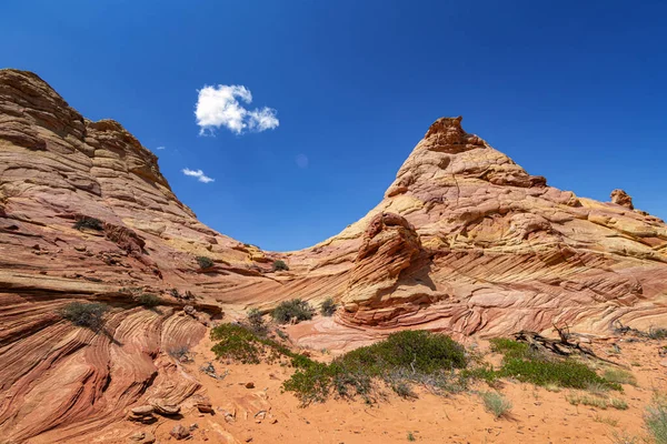 Coyote Buttes Utah Taki Kaya Oluşumları — Stok fotoğraf