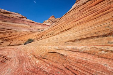 Coyote Buttes, Utah 'taki Kaya oluşumları