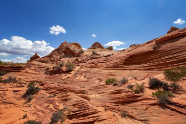 Coyote Buttes, Utah 'taki Kaya oluşumları